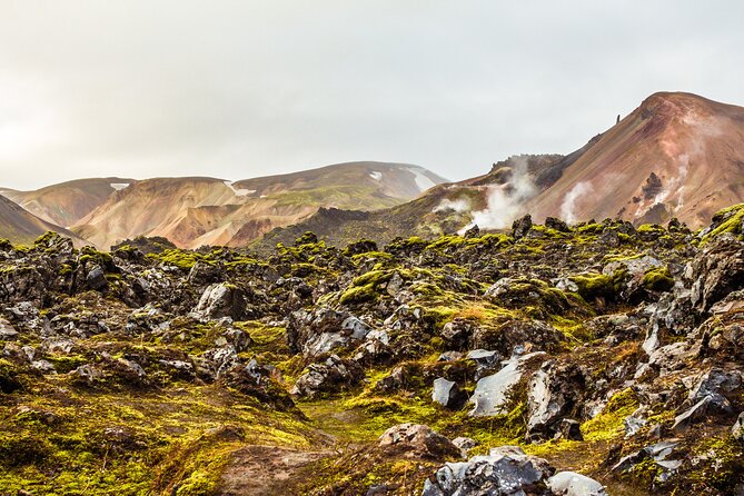 Reykjavík: Landmannalaugar & Icelandic Highlands Super Jeep Tour - Group Size, Driver Skills, and the Real-Life Comfort of a Super Jeep