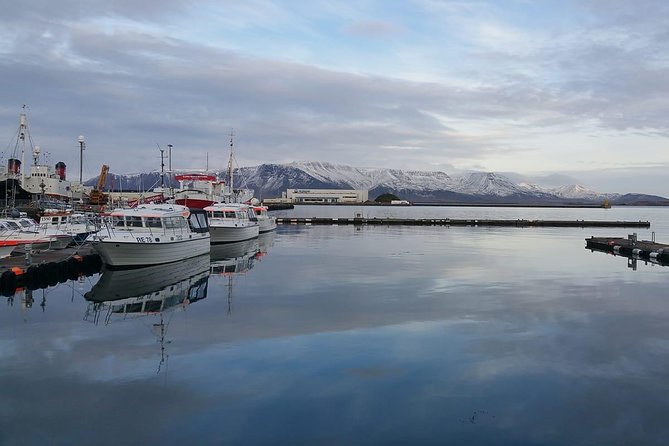 Reykjavik Main Sights and Hidden Spots: A Self-Guided Audio Walk - Hallgrimskirkja stop: what to watch for beyond the exterior