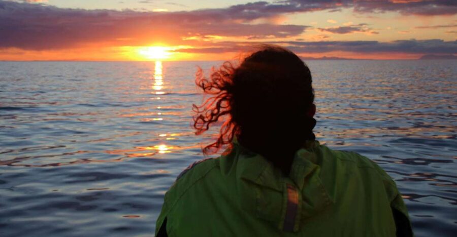 Reykjavík: Midnight Sun Whale Watching Cruise - The 2 to 2.5 Hour Whale Search: What the Trip Feels Like