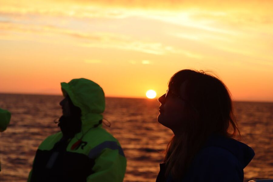 Reykjavík: Midnight Sun Whale Watching Cruise - Weather Rules, Captain Decisions, and How to Think About Your Chances