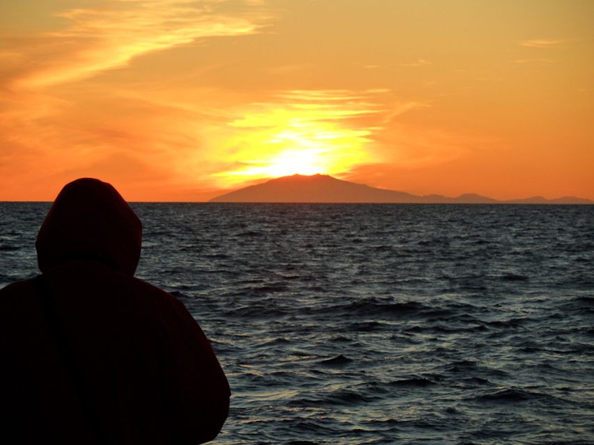 Reykjavik: Midnight Sun Whale Watching Tour - Midnight Sun whale watching from Reykjavik, not out in the middle of nowhere