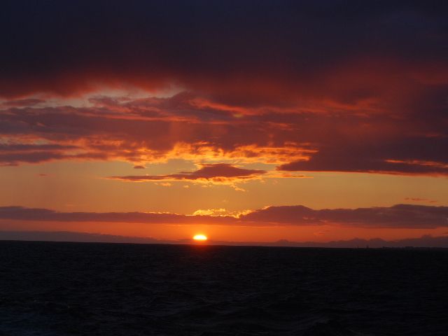 Reykjavik: Midnight Sun Whale Watching Tour - The 3-hour hunt: what you can expect on the water in Faxafloi Bay