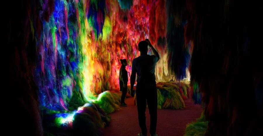 Reykjavík: Multi-Sensory Art Installation Chromo Sapiens - Key highlights before you go