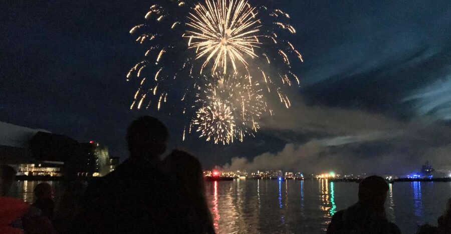 Reykjavik: New Year's Eve Fireworks Cruise - Reykjavik from Faxaflói Bay: the fireworks view you can’t beat