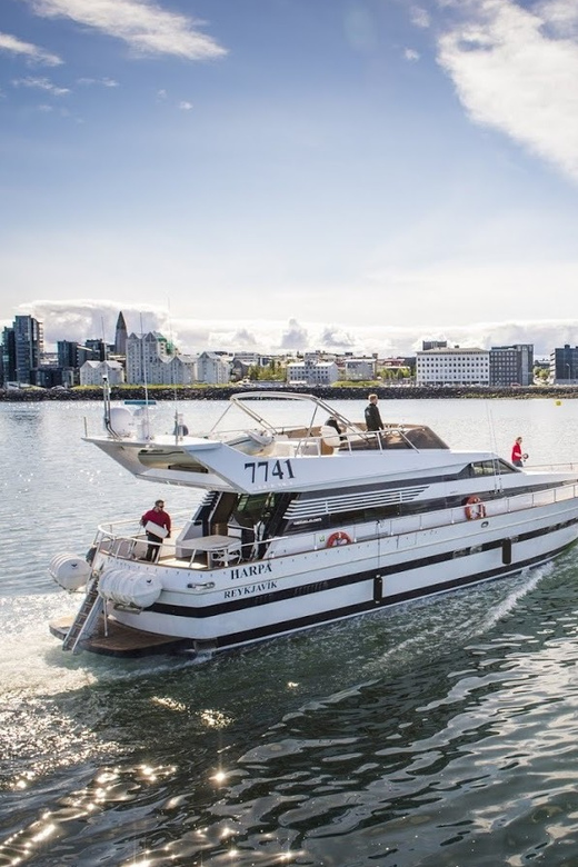 Reykjavík: New Year's Eve Northern Lights Yacht Cruise - Should you book the Reykjavik New Year’s Eve Northern Lights Yacht Cruise?