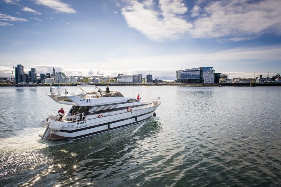 Reykjavík: New Year's Eve Northern Lights Yacht Cruise - Northern lights searching along the coastline, what to realistically expect