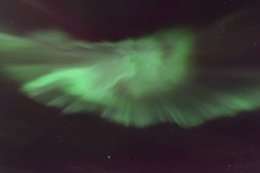 Reykjavík: New Year's Eve Northern Lights Yacht Cruise - Who should book this cruise, and who should skip it