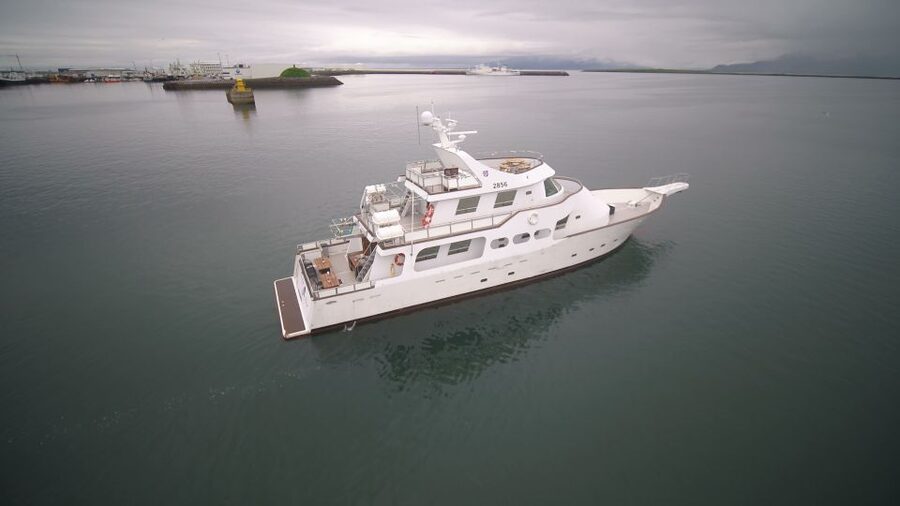 Reykjavik: New Years Fireworks Midnight Cruise - Coastline views in Faxaflói Bay, plus what to do with your time