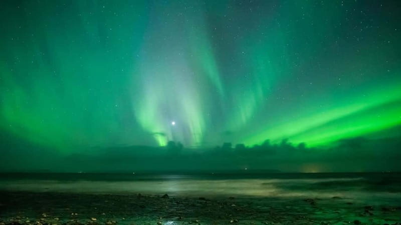 Reykjavik: Northern Lights Adventure Tour with Hot Chocolate - Pickup logistics: where you meet, when you show up