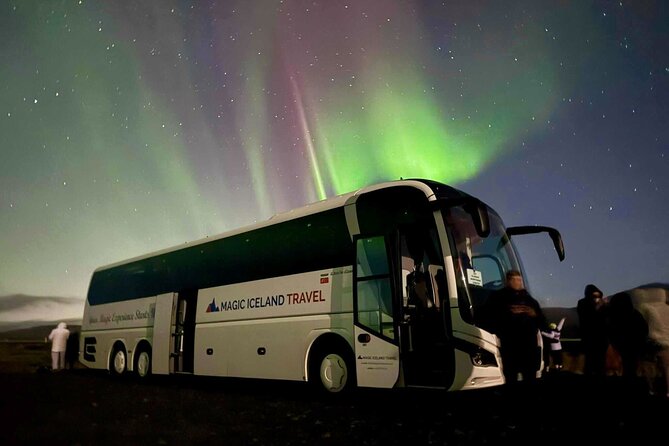 Reykjavik: Northern Lights Comfort Coach with Surprise - Key Highlights You’ll Feel on the Night
