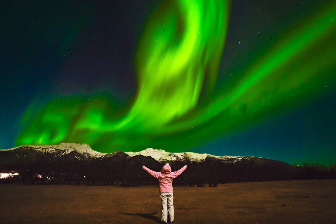Reykjavik: Northern Lights Comfort Coach with Surprise - The Surprise: A Fun Icelandic Extra, With One Big Question