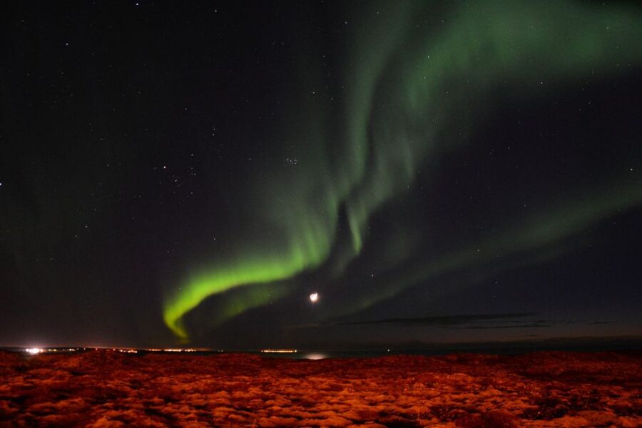Reykjavik: Northern Lights Motor Yacht Cruise - MY Harpa vs MY Amelia Rose: group size changes how the night feels