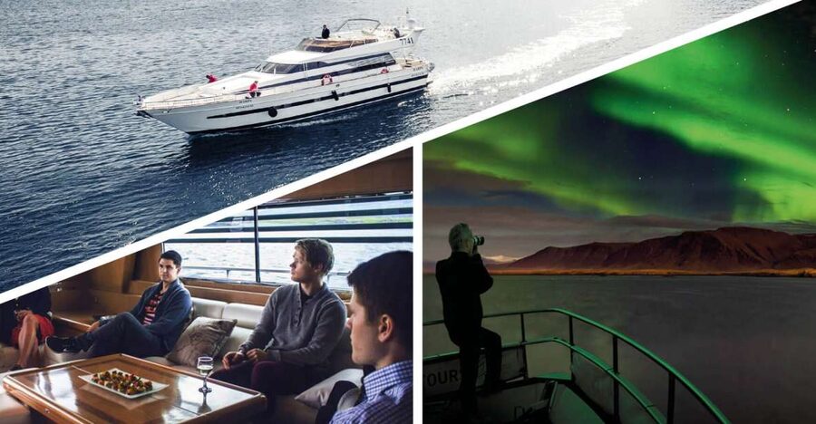 Reykjavik: Northern Lights Motor Yacht Cruise - Reykjavík’s icons on the route: Harpa, Sun Voyager, and more