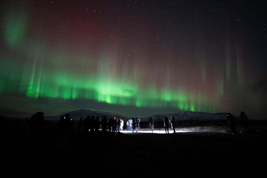 Reykjavik: Northern Lights Small Group with Surprise - Who should book this small-group Reykjavik aurora tour