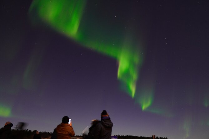 Reykjavik Northern Lights Tour with Pro Aurora Photos Small Group - Retries, and the truth about chasing the aurora