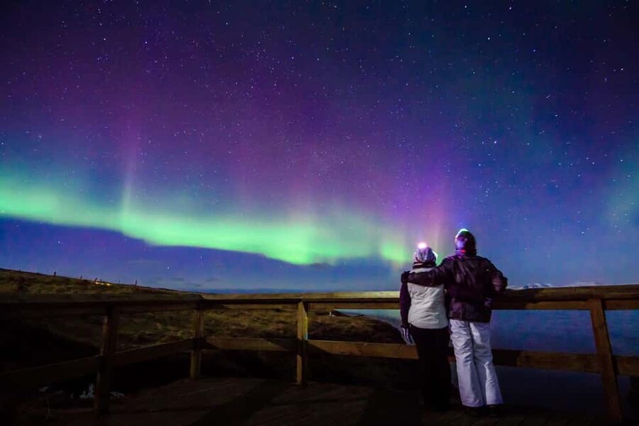 Reykjavik: Northern Lights with Icelandic Treats - Key points to know before you go