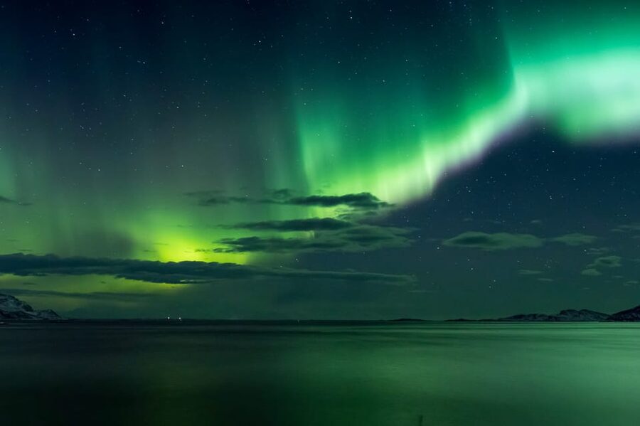 Reykjavik: Northern Lights with Icelandic Treats - Comfort, safety, and the small details that matter on cold Iceland nights