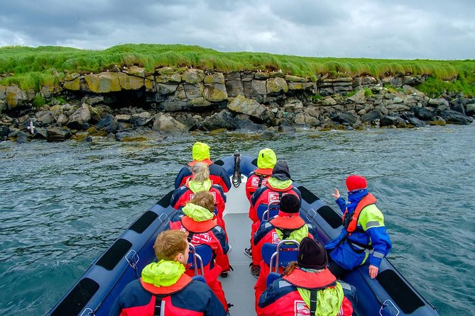 Reykjavik Premium Puffin tour | Close Up and Personal - The Photo Reality: Phones vs. Big Cameras