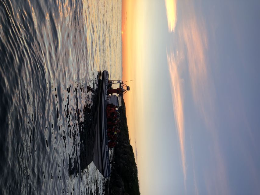Reykjavik: Premium Whale and Puffin Watching Evening Tour - Practical Tips for a Smoother Cruise (and Better Photos)
