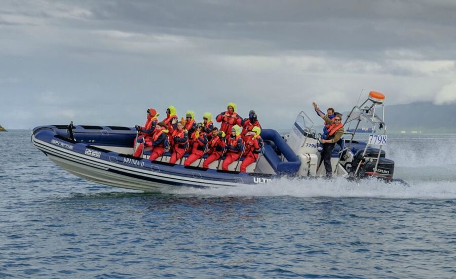 Reykjavik: Premium Whale Watching with Flexible Ticket - Leaving Old Harbour for Faxaflói Bay: The Experience on the Water