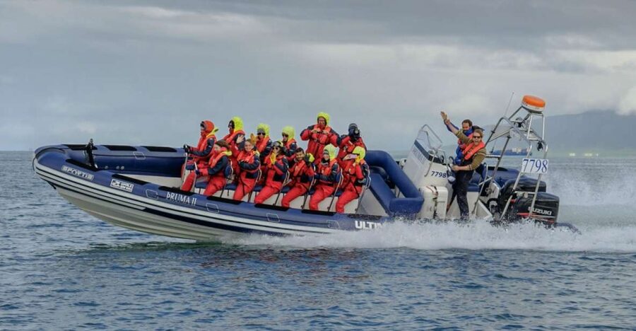 Reykjavik: Premium Whale Watching with Flexible Ticket - Where You Start at Aegisgardur 5 (and What to Wear)