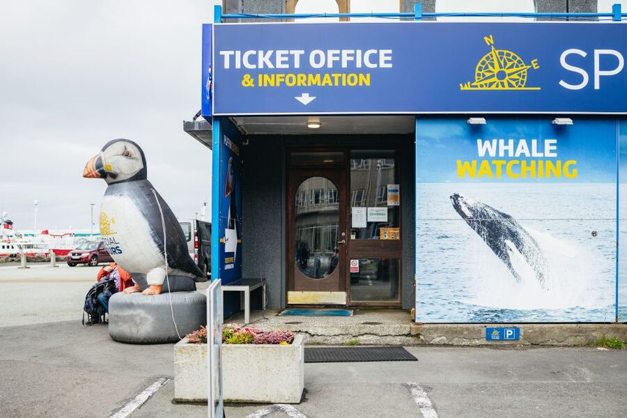 Reykjavik: Puffin Watching Boat Tour - Who This Tour Suits Best (And Who Should Think Twice)