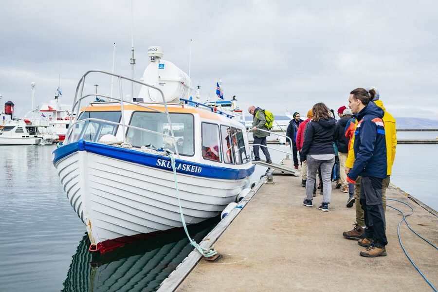 Reykjavik: Puffin Watching Boat Tour - The Old Skuli Boat Experience: Size, Seating, and Binoculars That Actually Help