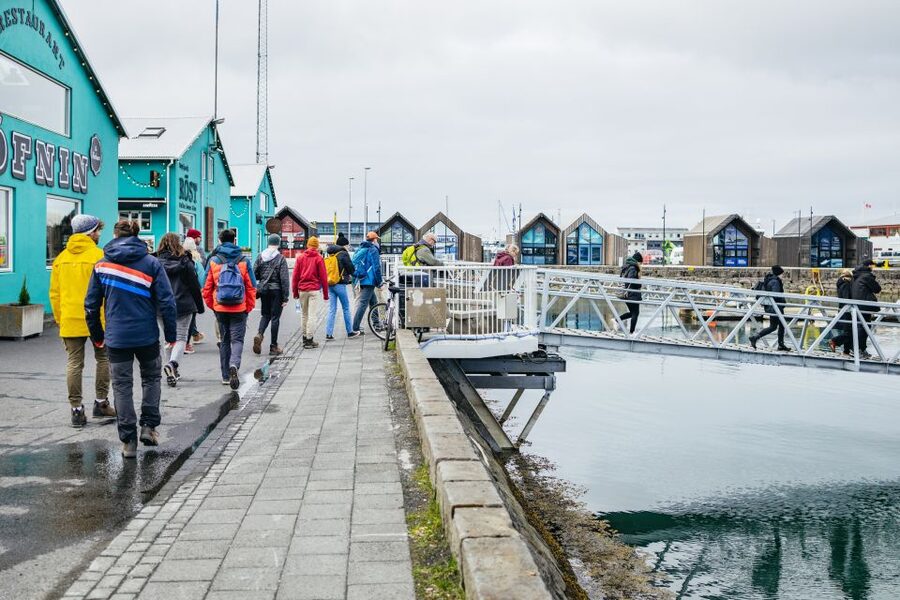 Reykjavik: Puffin Watching Boat Tour - The Guide Makes It, Patrick The Puffin Man, Joe, Vera, and Others