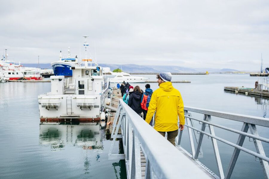 Reykjavik: Puffin Watching Boat Tour - Timing and Expectations: When Puffins Are Most Active (and When You Still Win)