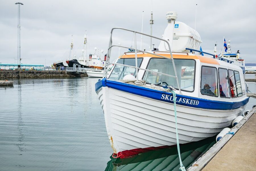 Reykjavik: Puffin Watching Boat Tour - Price and Value: Is $64 Worth It for a One-Hour Reykjavik Outing?