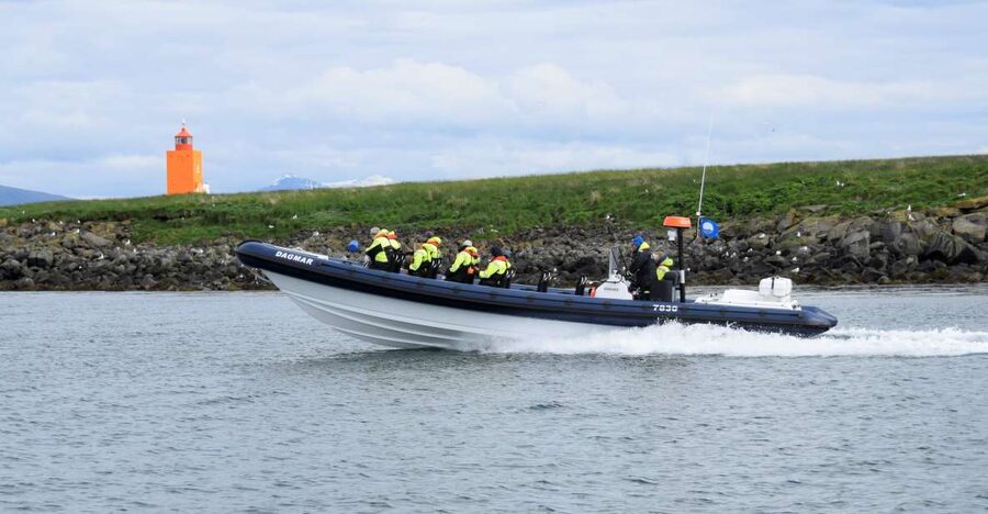 Reykjavik: Puffin Watching Tour by RIB Speedboat - Key things to know before you go