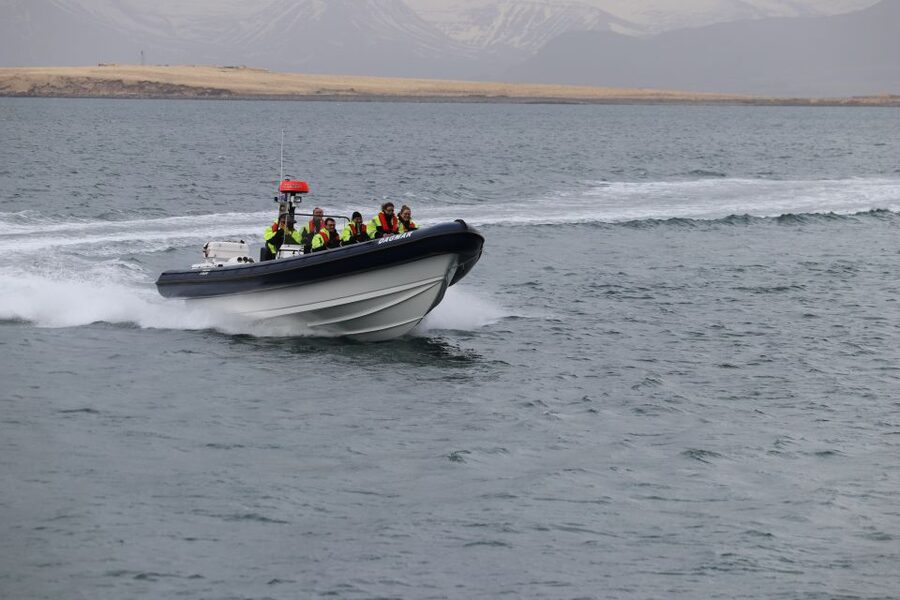 Reykjavik: Puffin Watching Tour by RIB Speedboat - The Guide Adds More Than Facts, Especially With Puffin Sounds