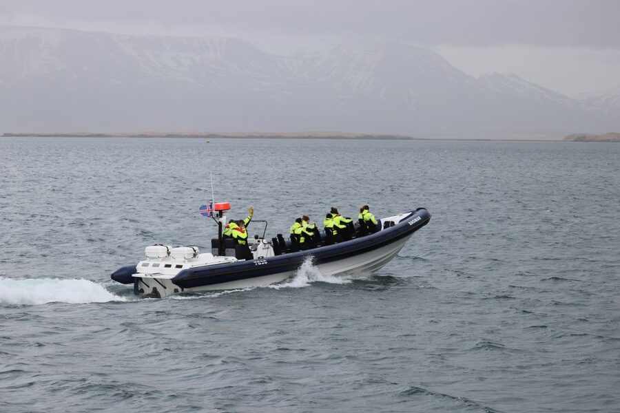 Reykjavik: Puffin Watching Tour by RIB Speedboat - Price and Value: Is $84 for One Hour Fair?