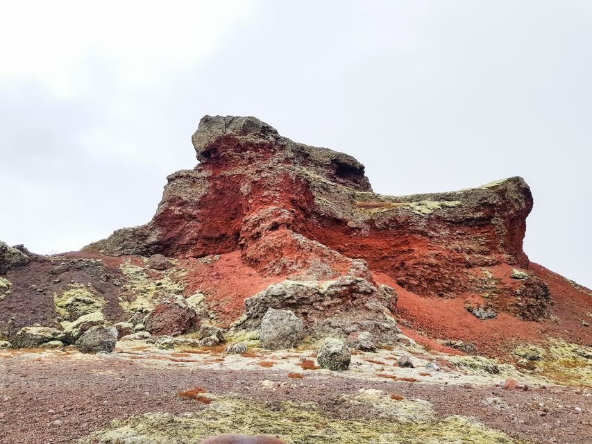 Reykjavik: Red Lava Horse Riding Tour - Meeting the Horses at Sólhestar: What to Expect on Arrival