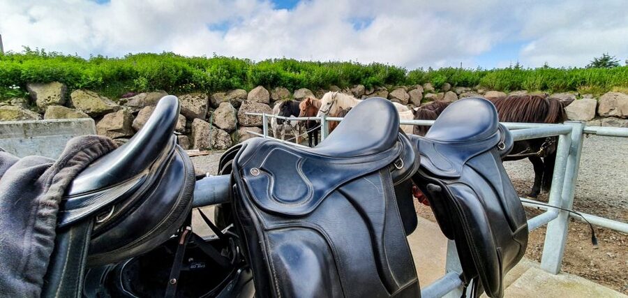 Reykjavik: Red Lava Horse Riding Tour - Who This Tour Suits Best, and Who Should Skip It