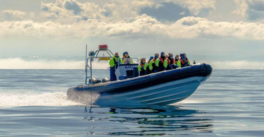 Reykjavík: RIB Speed-Boat Puffin Watching Tour - FAQ