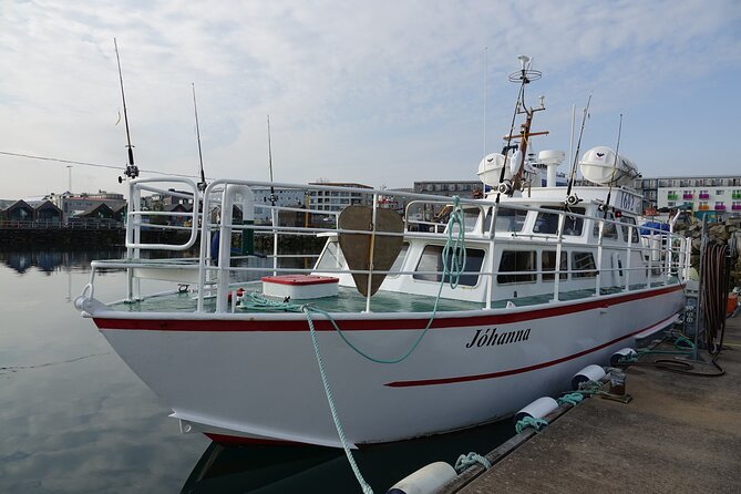 Reykjavik's Finest Catch: Guided Sea Angling Tour for All Levels - Gear rules, what to bring, and how much help you’ll actually get