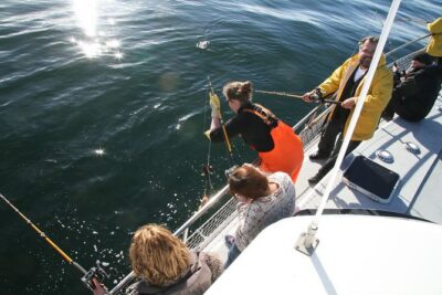 Reykjavik Sea Angling Gourmet