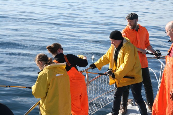 Reykjavik Sea Angling Gourmet - What you might catch in Reykjavik waters, and what “high success rate” really means