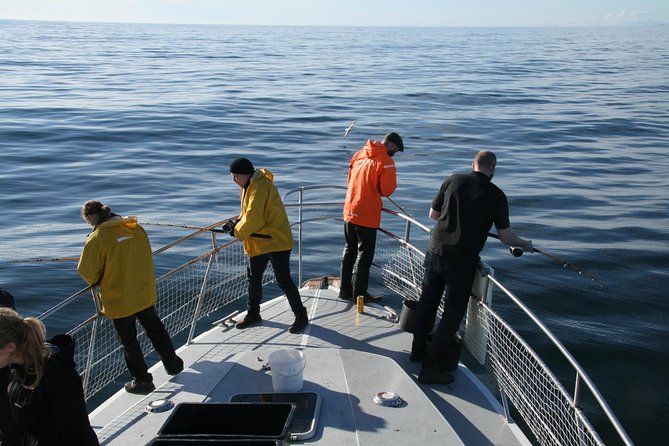 Reykjavik Sea Angling Gourmet - The BBQ lunch from your catch: why it tastes different