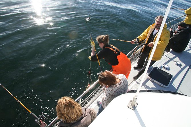 Reykjavik Sea Angling Gourmet - Meeting at Hlésgata 1: what to expect before you cast