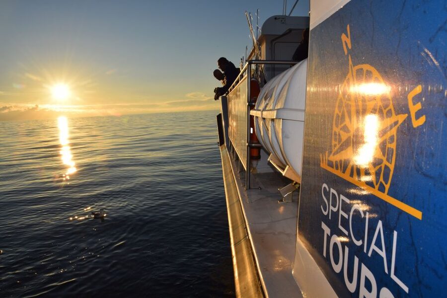 Reykjavik: Sea Fishing Boat Tour & BBQ with the Day's Catch - Key Highlights You’ll Actually Remember