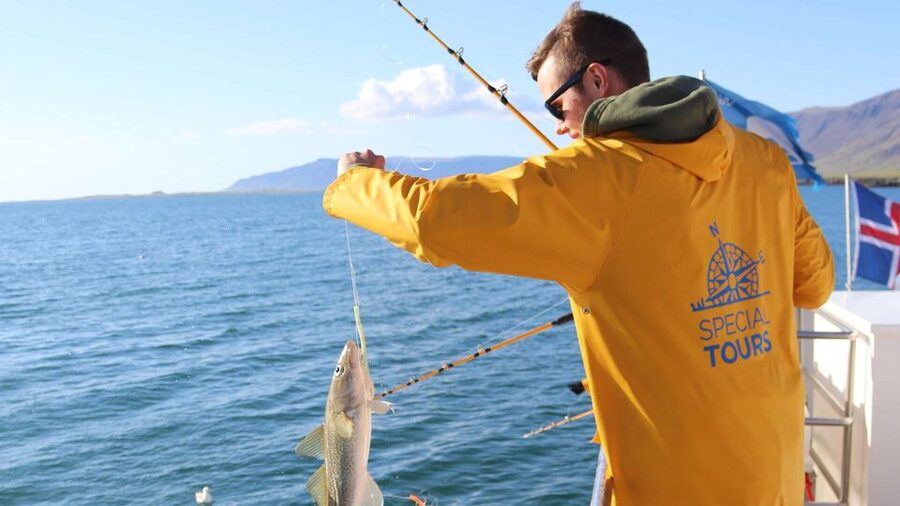Reykjavik: Sea Fishing Boat Tour & BBQ with the Day's Catch - Should You Book This Reykjavik Sea Fishing and BBQ Tour?
