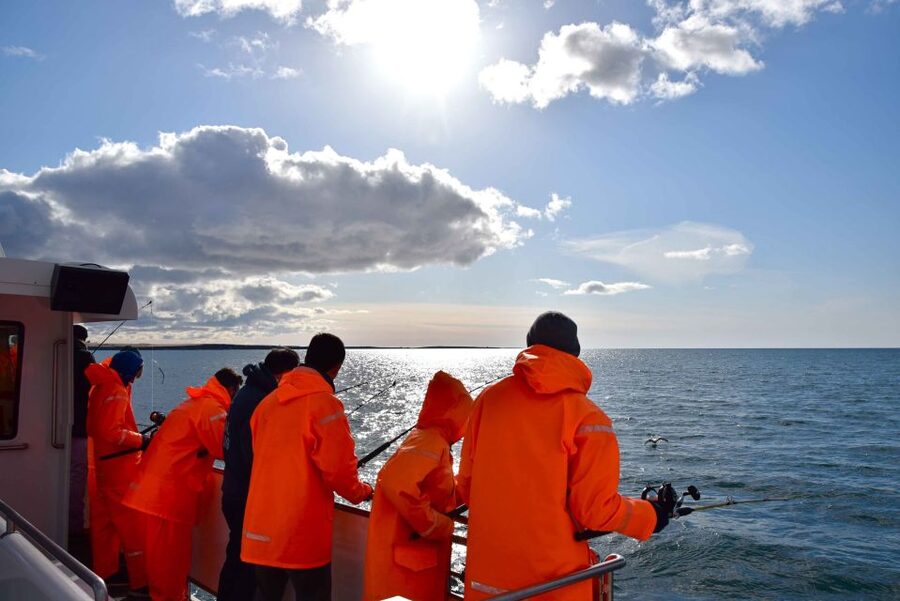 Reykjavik: Sea Fishing Boat Tour & BBQ with the Day's Catch - The Big Payoff, BBQ on Board With Your Day’s Catch
