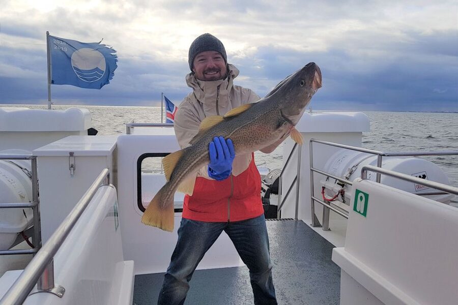 Reykjavik: Sea Fishing Boat Tour & BBQ with the Day's Catch - Price and Value, Is $141 Worth It?