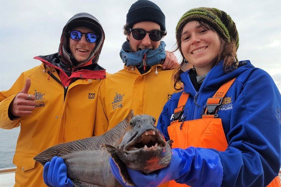 Reykjavik: Sea Fishing Boat Tour & BBQ with the Day's Catch - Who This Tour Fits Best (And Who Should Rethink It)