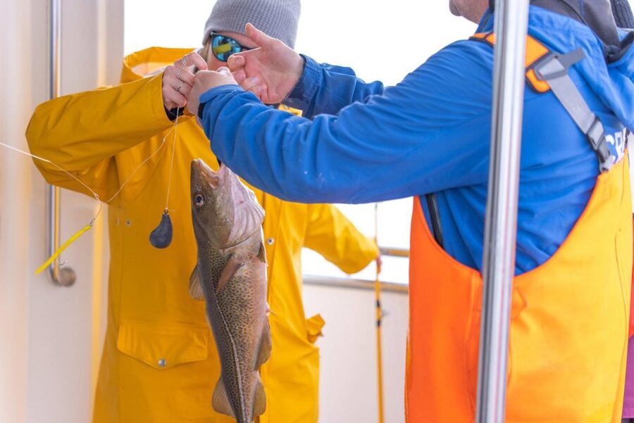 Reykjavik: Sea Fishing Boat Tour & BBQ with the Day's Catch - Getting From Old Harbor to Faxafloi Bay, What Happens and What Matters