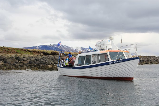 Reykjavik Shore Excursion: Puffin Sightseeing Cruise - Puffin Sightseeing From Reykjavik, Without the All-Day Commitment