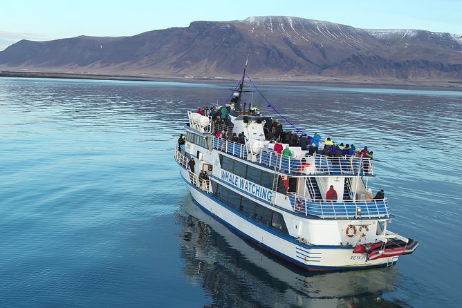 Reykjavik Shore Excursion: Whale-Watching Cruise - Thermal Overalls, WiFi, and Sea-Sickness Support That Actually Helps