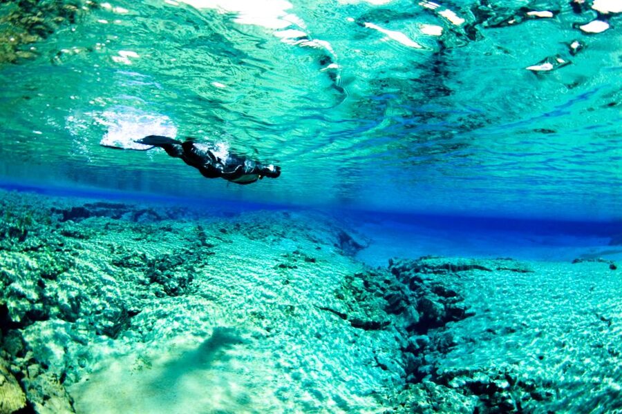 Reykjavik: Silfra Snorkeling & Lava Tunnel Adventure Combo - FAQ